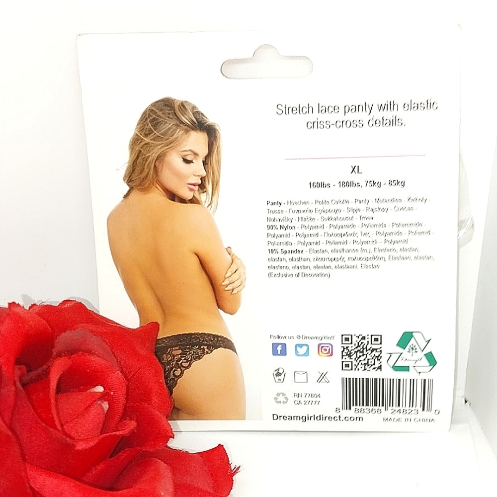 Dream girl stretch lace criss-cross panty